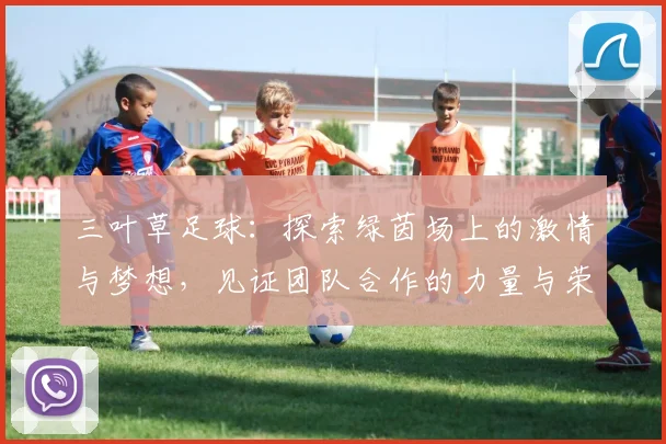 三叶草足球：探索绿茵场上的激情与梦想，见证团队合作的力量与荣耀