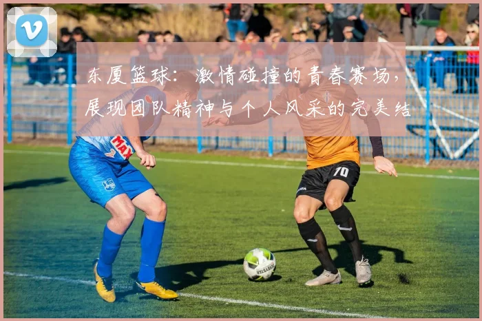 东厦篮球：激情碰撞的青春赛场，展现团队精神与个人风采的完美结合