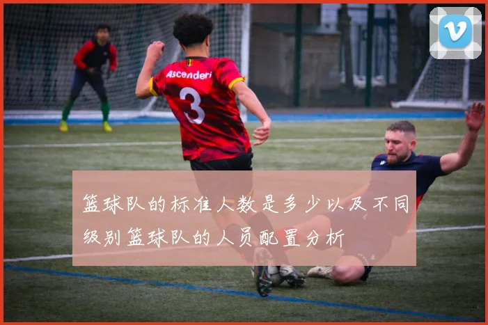 篮球队的标准人数是多少以及不同级别篮球队的人员配置分析