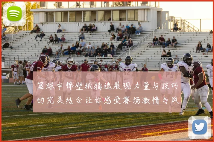 篮球中锋壁纸精选展现力量与技巧的完美结合让你感受赛场激情与风采