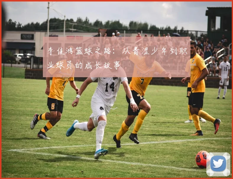 李佳鸿篮球之路：从青涩少年到职业球员的成长故事