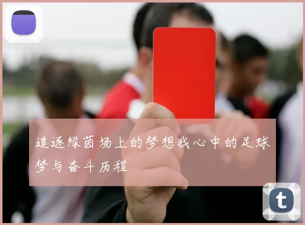追逐绿茵场上的梦想我心中的足球梦与奋斗历程